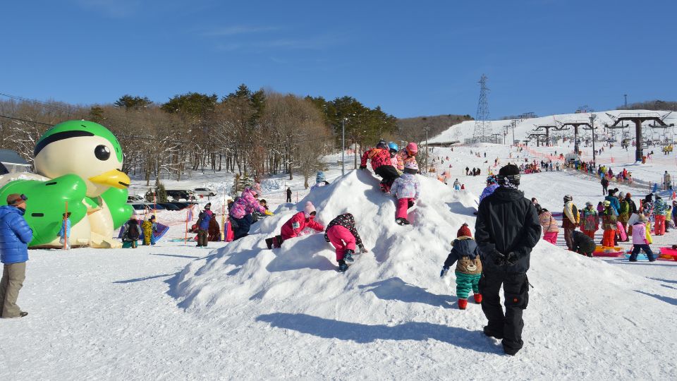 ひるがの高原スキー場（中部スノーアライアンス株式会社） - 画像2
