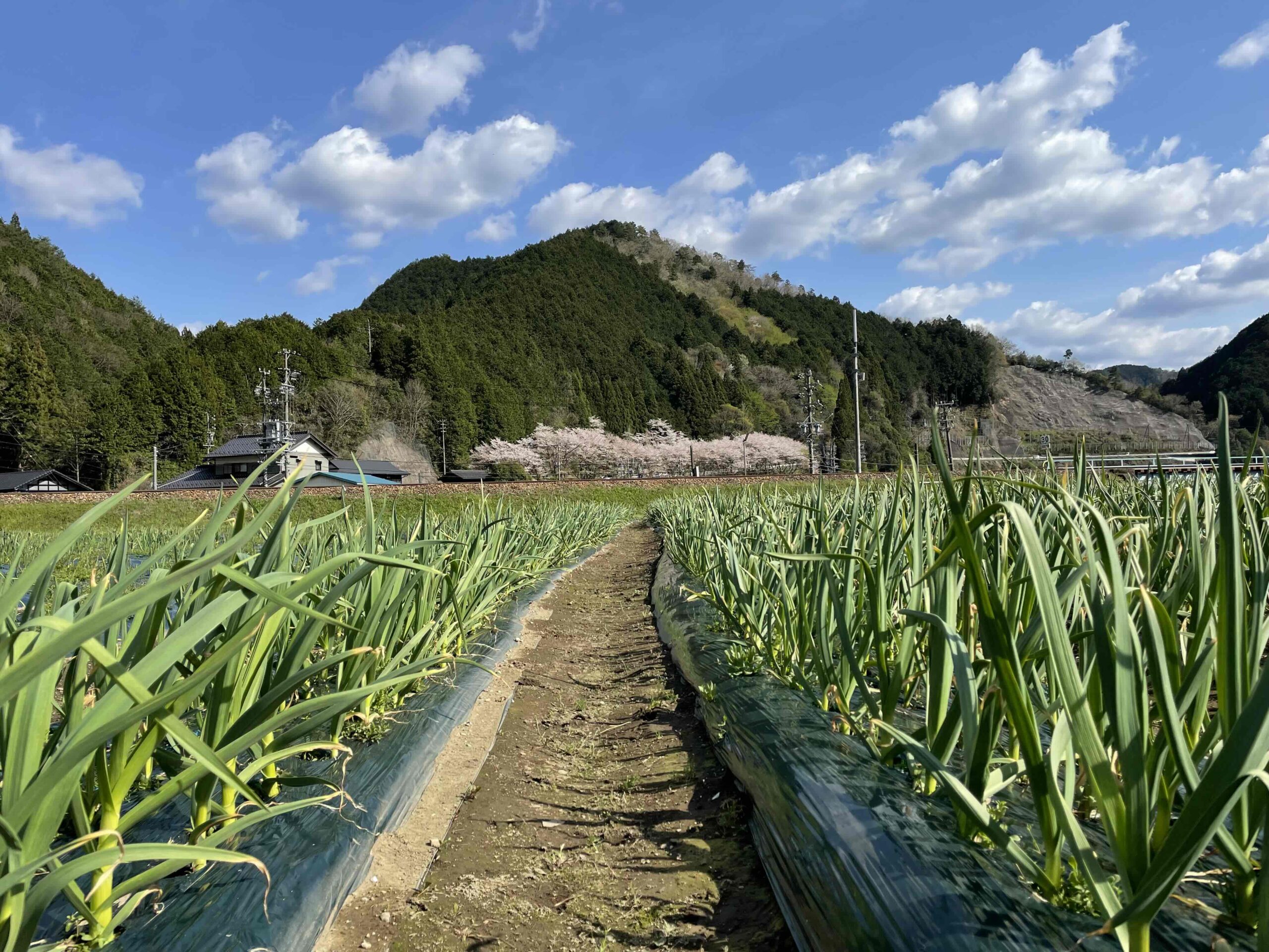 経農済民ファームリッジライン - 画像2