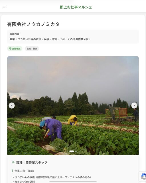 有限会社ノウカノミカタ
事業内容
農業（さつまいも等の栽培・収穫・選別・出荷、その他農作業全般）  職種：農作業スタッフ
仕事内容（詳細）
・さつまいもの収穫（掘り取り後の拾い上げ、コンテナへの積み込み）
・大きさや傷の選別
・洗い作業（屋内）
・その他の品目の農作業と付随作業
※未経験歓迎で丁寧にお教えします
・天候により作業日・時間が変動し、作業がない日は前日夕方までに連絡します
・就業場所：郡上市高鷲町の圃場・作業場/変更の範囲　郡上市内、美濃市・関市・各務原市の圃場
・職種：変更の範囲なし  📢その他、詳しい雇用条件はサイトをご覧ください
･･━━･･━━･･━━･･━━･･   応募・問い合わせは【郡上お仕事マルシェ】企業ページから‼︎
※募集が終了している場合がございます。
※採用、契約等に関して、当センターは関わりません。事業者と求職者等の双方の責任で行なってください。  #郡上お仕事マルシェ#短時間#短期間#お仕事#求人検索サイト
#販売#接客#飲食#清掃#軽作業#事務#データ入力#農業#林業#医療#介護#福祉#在宅ワーク#短期間ワーク#郡上で仕事#郡上でバイト#求人#アルバイト  #郡上市産業支援センター#郡上#郡上市#岐阜#産業#支援センター#人材確保